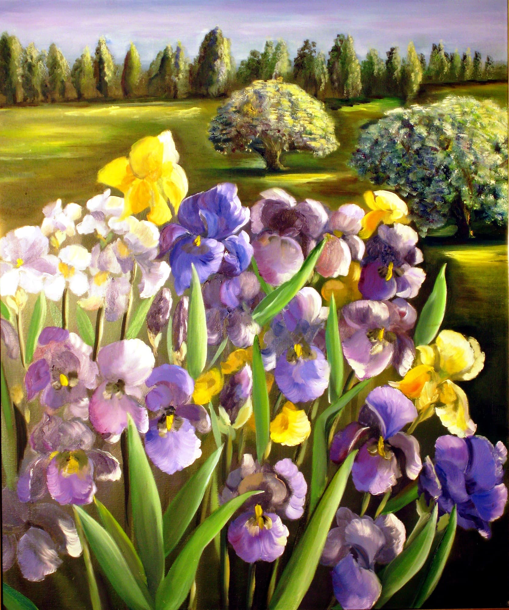 Iris et pensées