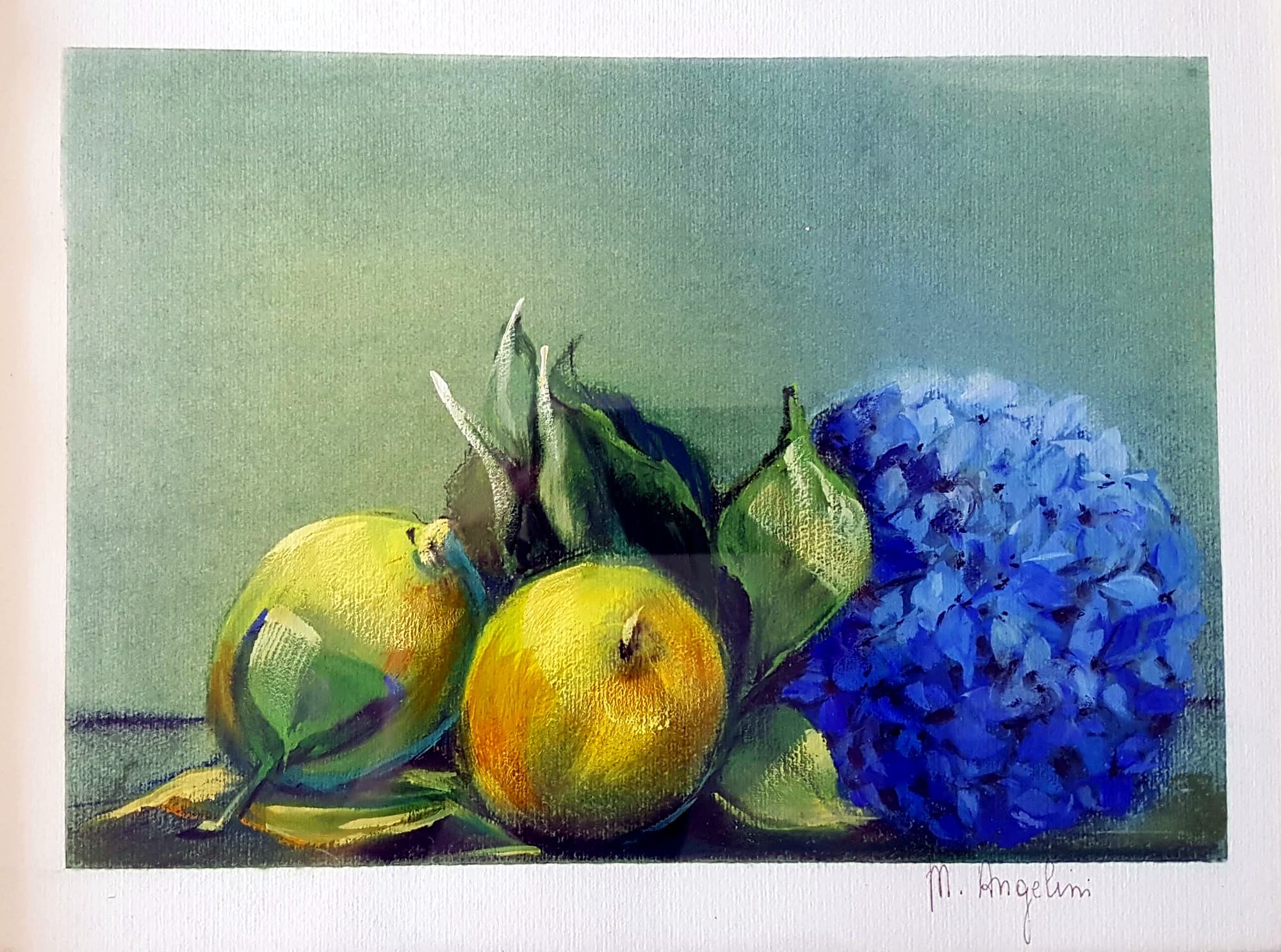 Poires et hortensia bleu