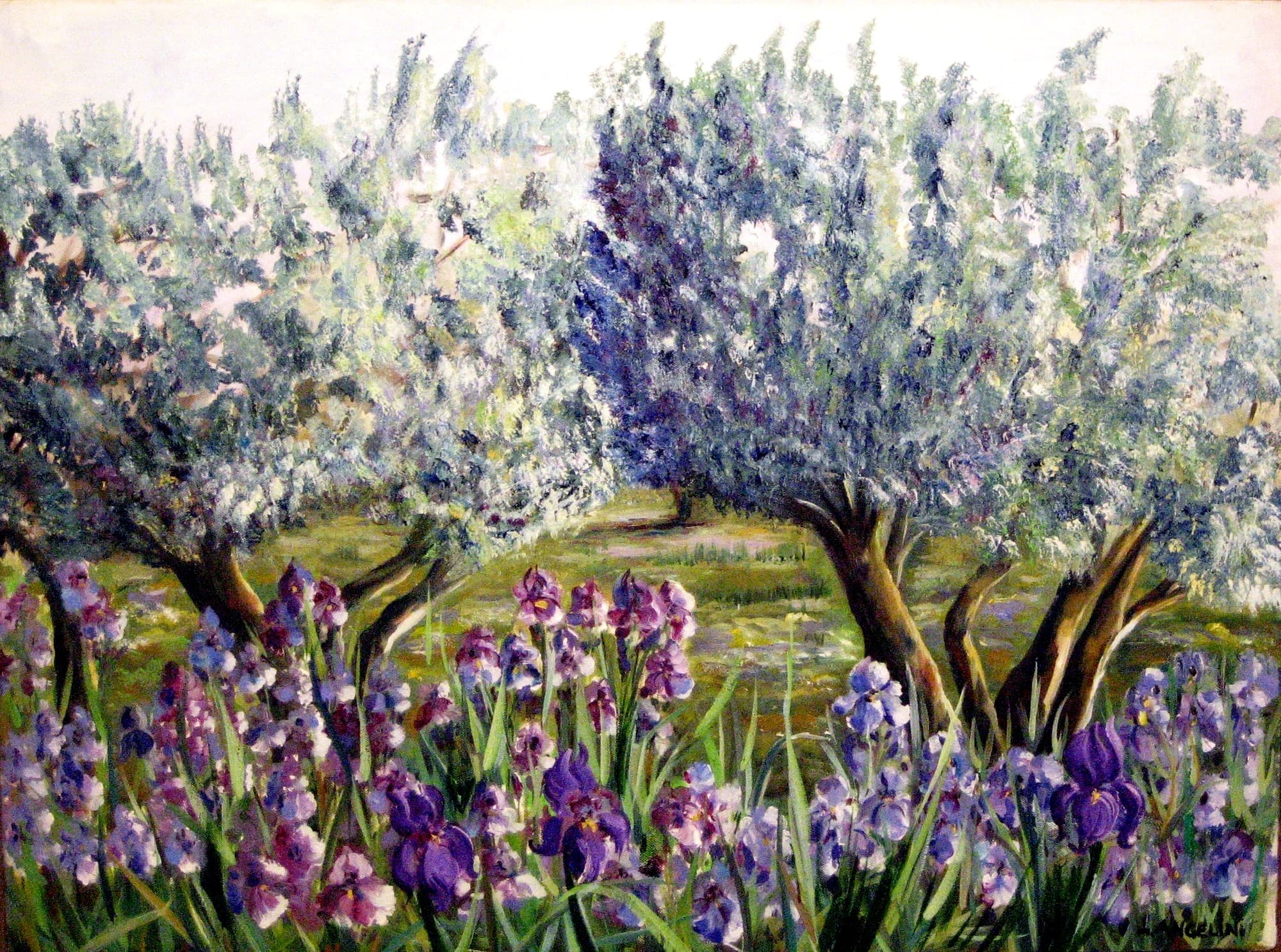 Les oliviers aux iris