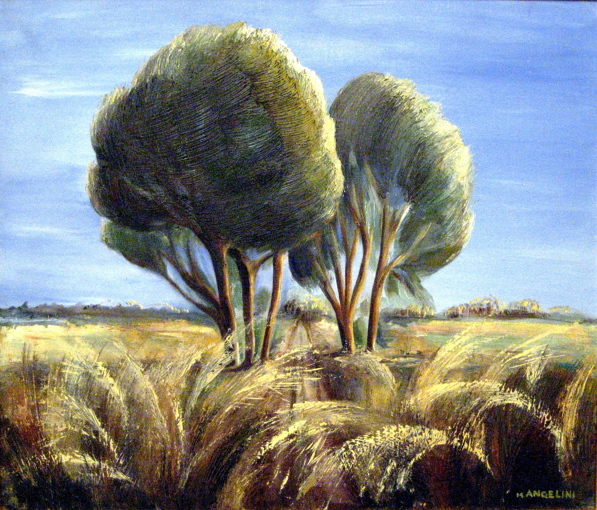 Les arbres dans le vent