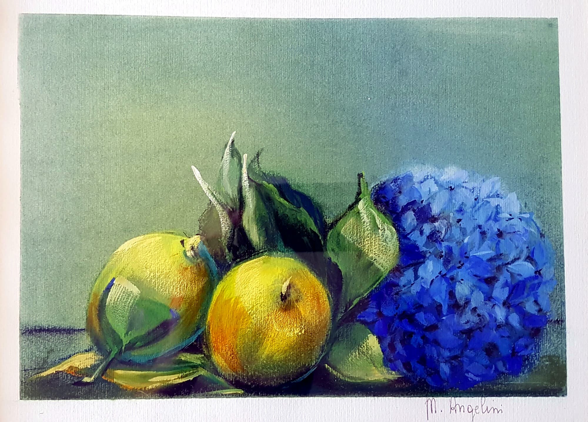 Citrons et hortensia