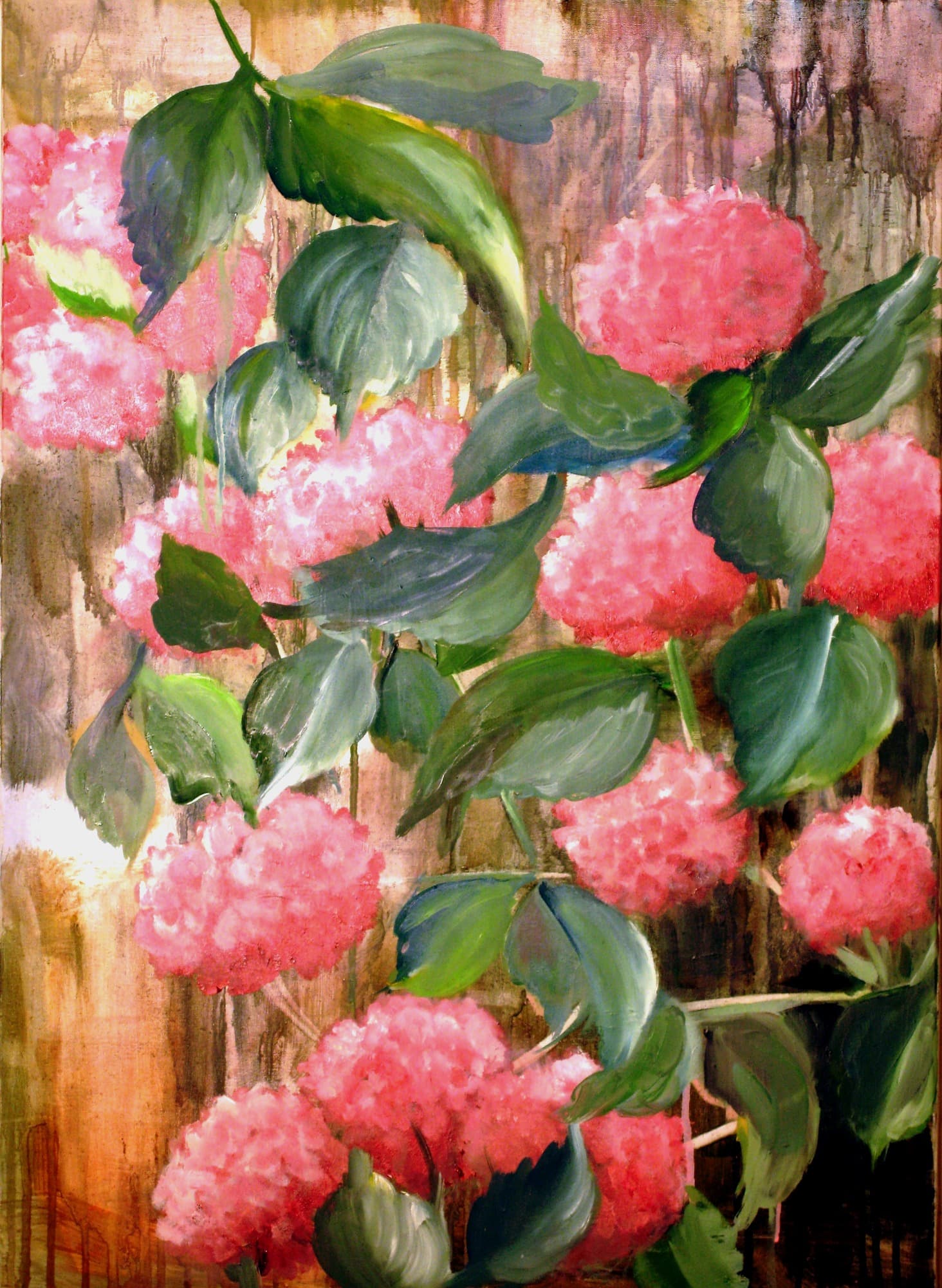 Hortensias roses