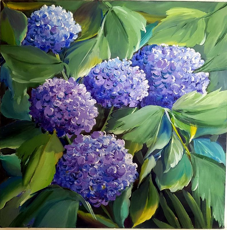 Hortensias violets
