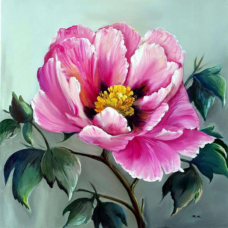 Pivoine rose