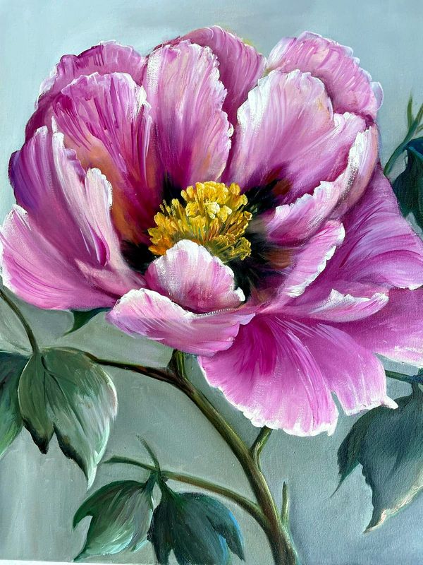 Pivoine Rose sur Fond Gris