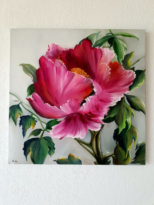 Pivoine pourpre